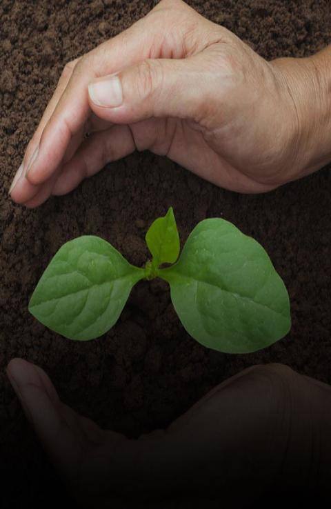 Championing a healthy planet Championing a healthy planet